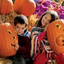 Formalité voyage : lettre d’autorisation de voyage pour enfant