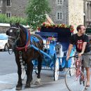 Les moyens de transport à Montréal