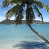 Séjour en Martinique : Quelle agence de voyage choisir ?