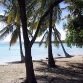 Tourisme en Martinique : votre séjour à Sainte-Anne