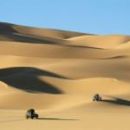 Voyage en Tunisie : vaccins recommandés