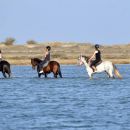 La Tunisie comme vous ne l’avez jamais vue