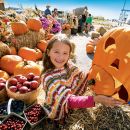 Comment faire voyager son enfant seul ?