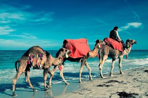 voyage-pas-cher-tunise