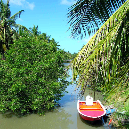 Besoins de conseils pour un voyage pas cher en Guadeloupe ? Voici quelques Astuces !